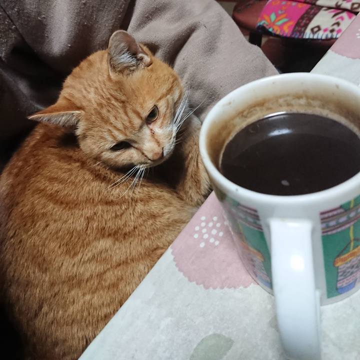 E6bb6df7 a2d0 482c 8d0d 6a548d532d03 1577217256933