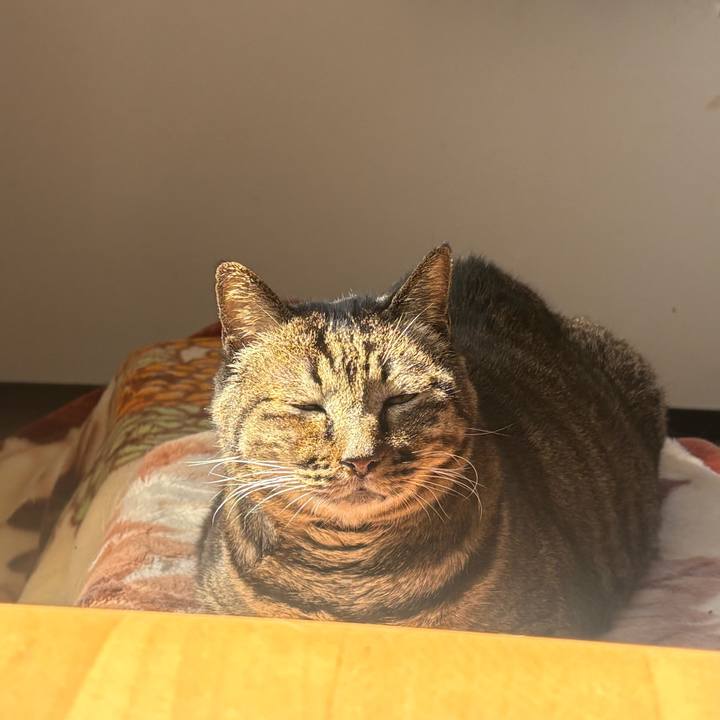 E6bb86f7 5660 4bdd a1a1 fa0902134c22 1773039424851