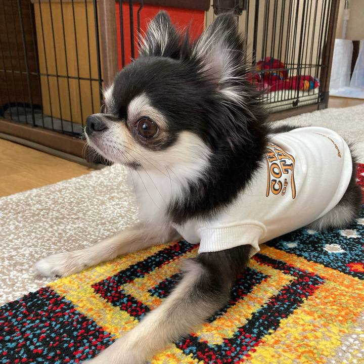 E6bb9152 a8d1 4abe a00a c72cf41983cb 1698506991131