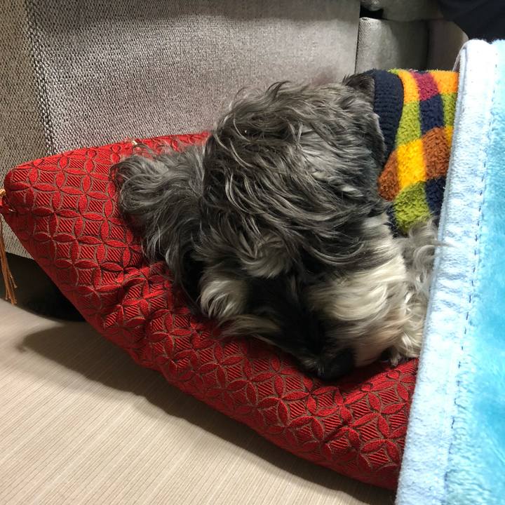 E6bba023 4dfc 4a43 97ee b99c37a4a3ba 1643804267558