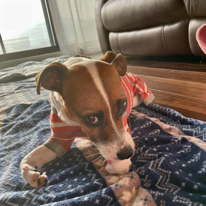 E6bbde59 fac0 41a4 aeed 2364589a5c23 1647813713300