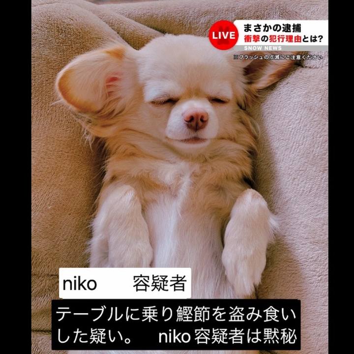 E6bc7653 5b7f 4c0b 8879 4100b7608055 1644808930560