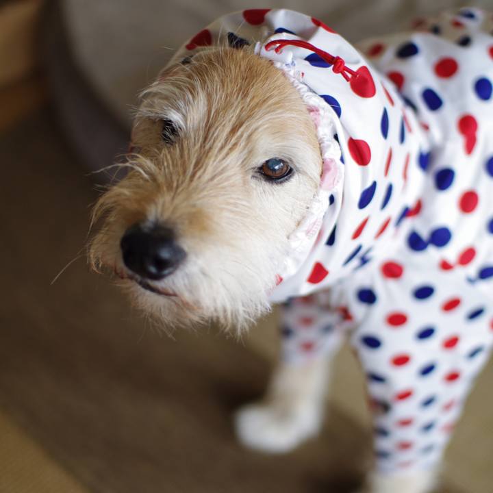 E6bc7bad f37d 4ce5 90c3 f51d14bcb9e4 1618440206212