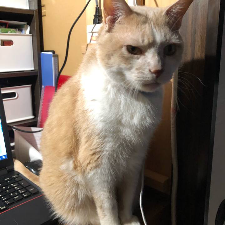 E6bc7e22 c96a 4263 835f fe3876103532 1614415646339