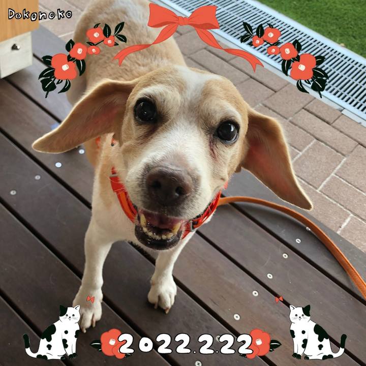 E6bca5db 0056 4090 b3aa 23f6567e25d1 1645503728834