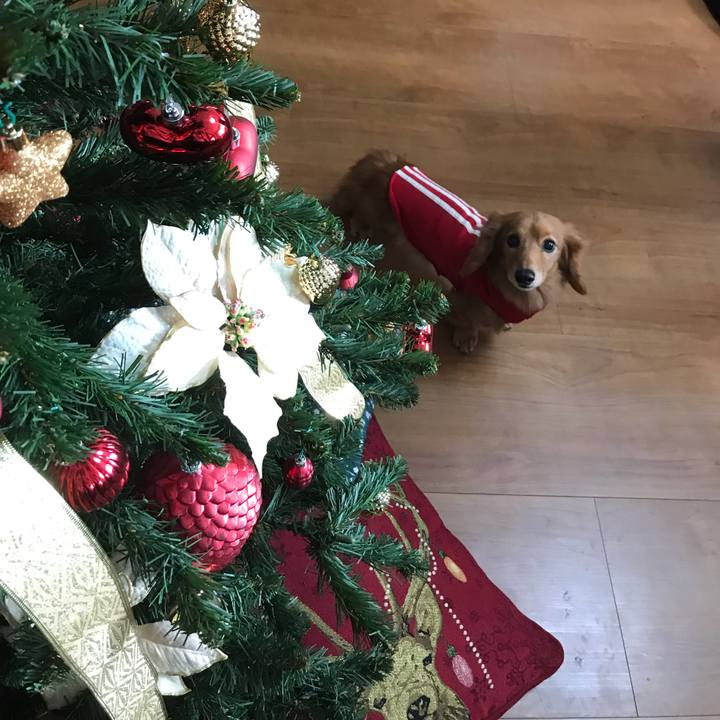 E6bcd1a5 a705 4ef6 8bb5 65f3fffb7882 1544949471644