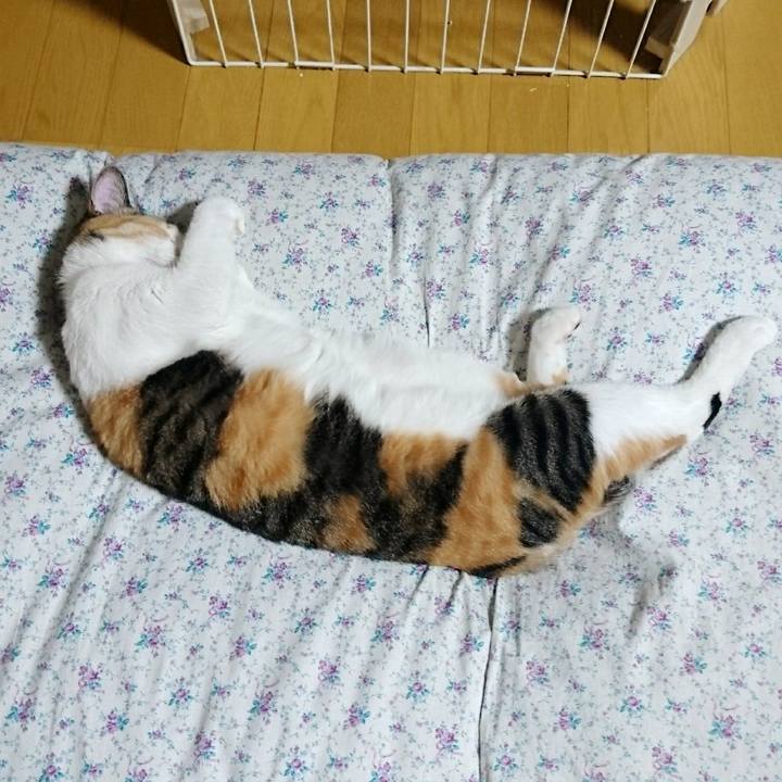 E6bd1f7c d530 4667 a74f 3186d14bf9b0 1514982628800