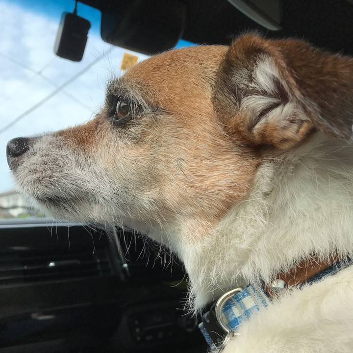 E6bd250d 20ee 4a13 bbc5 0ccc64c9b3bc 1589530503125