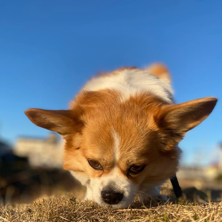 E6bd3854 9754 4dbe a409 4b5dc3ef726c 1735748108172