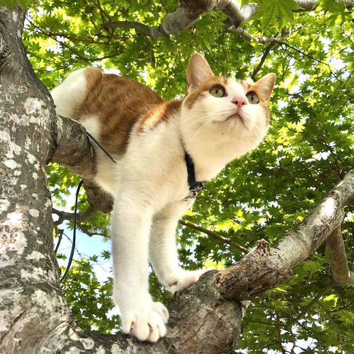 E6bd58e4 3529 41c4 9379 fd7ebd649470 1525616486252