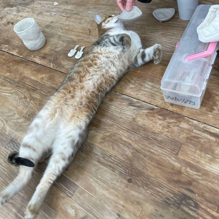 E6bd7c71 3bf9 4ba6 9ce0 5c3fb2ebc1db 1737984341207