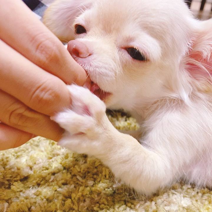 E6bd875e 18e1 4d20 a960 6c5c9b17b312 1591446027996