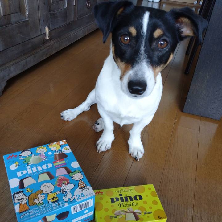 E6bd8fa3 8b17 4b89 acd2 483c12859615 1623374079283