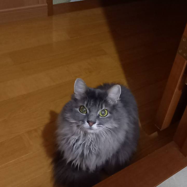 E6bd9188 a895 44c6 a00b 1f40038c1dd8 1669033395856