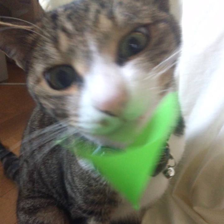 E6bd91fb 004c 43c2 8fd3 24ea087db4b3 1702464238964