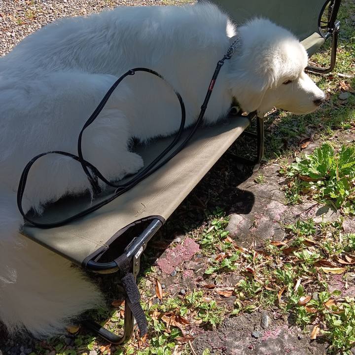 E6bd9302 3cc5 4000 8f72 19d9f60dfe88 1717799805027