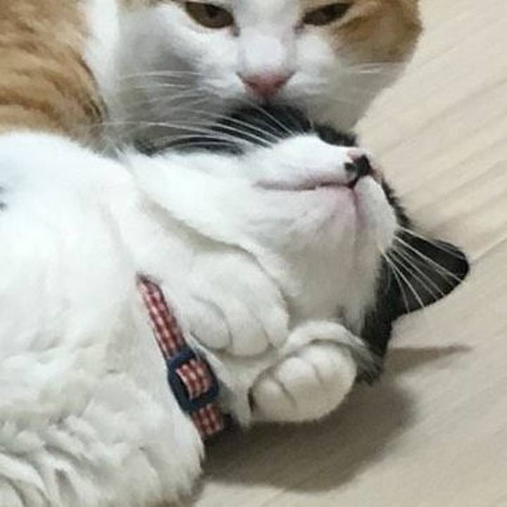 E6bda2f6 ea98 4da4 9b11 99fc8cdb6983 1538271974581