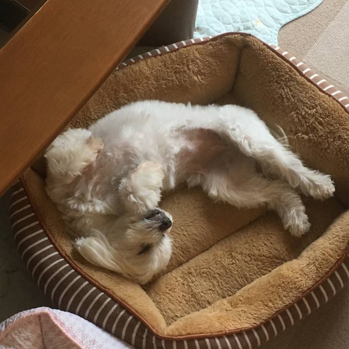 E6bdc2ae c8c1 4440 b36b 7be427c81295 1527914203880