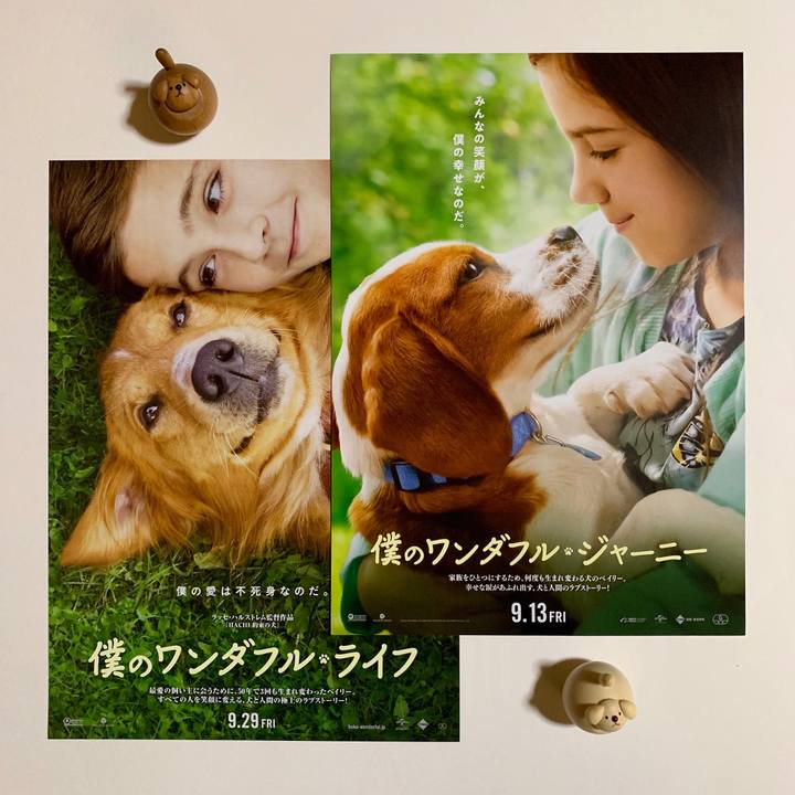 E6bdc614 e3ff 4d54 806a 752970ed0dee 1568274990787