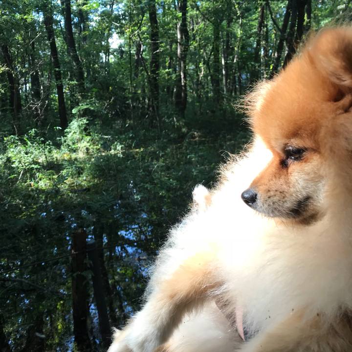 E6bdc72f b8fa 474e b765 3147017f95d3 1512253842551