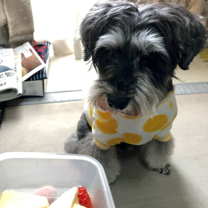 E6bdfc67 4501 4fba bb6c a3b82e5258a6 1645345991775