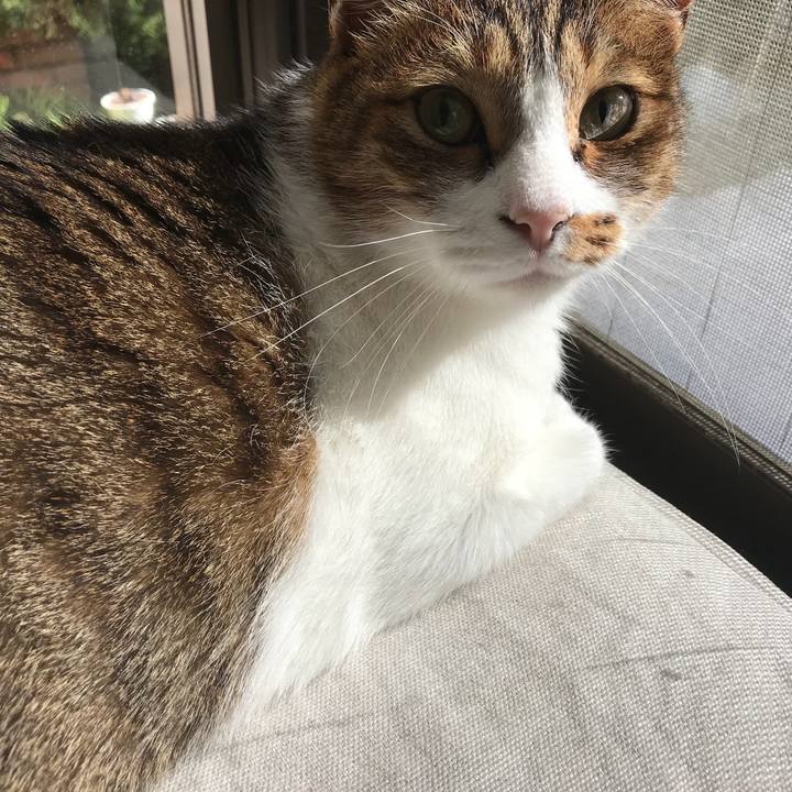 E6be06d3 3334 4456 b537 2ddfe0087e23 1517120487506