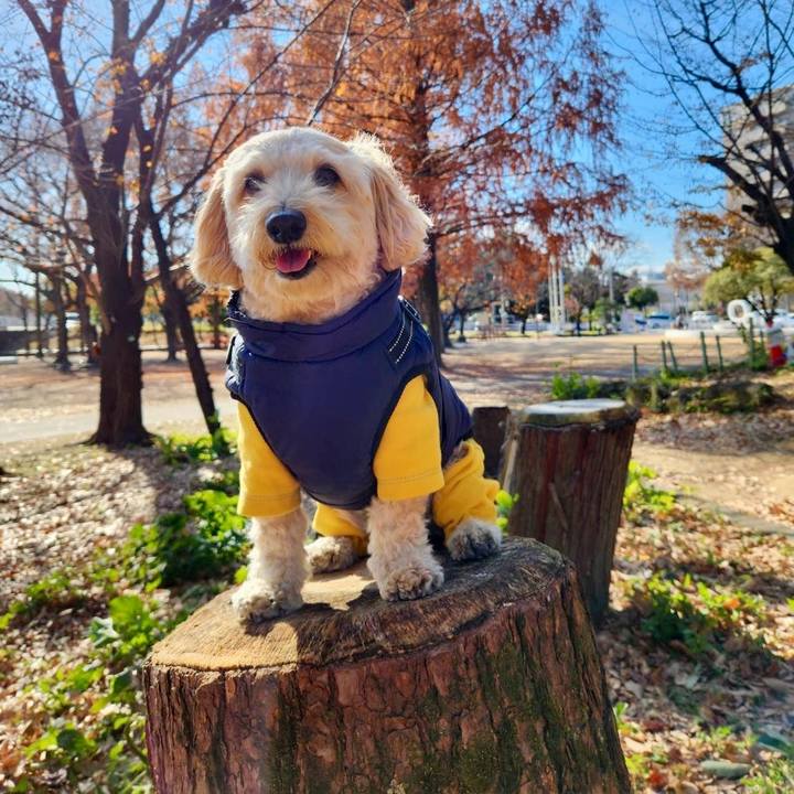 E6be078d eb0a 4021 a877 14dfe0bab15d 1765508339210