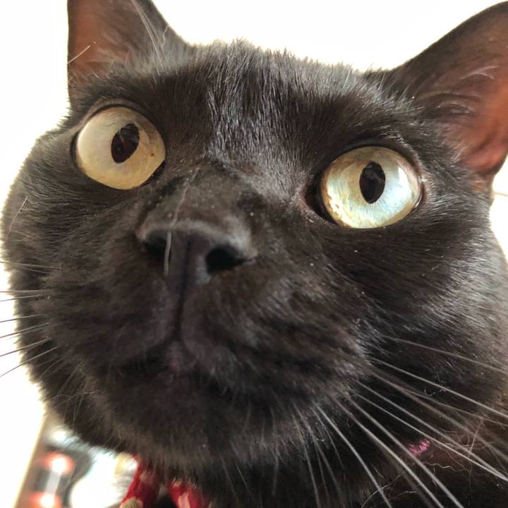 E6be2497 1116 4a98 ab6d af7cbb73dad7 1622845823087