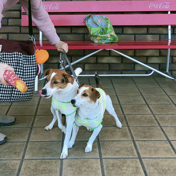 E6be938d 0da9 4a15 aadc 571be88b3c4b 1762503988460