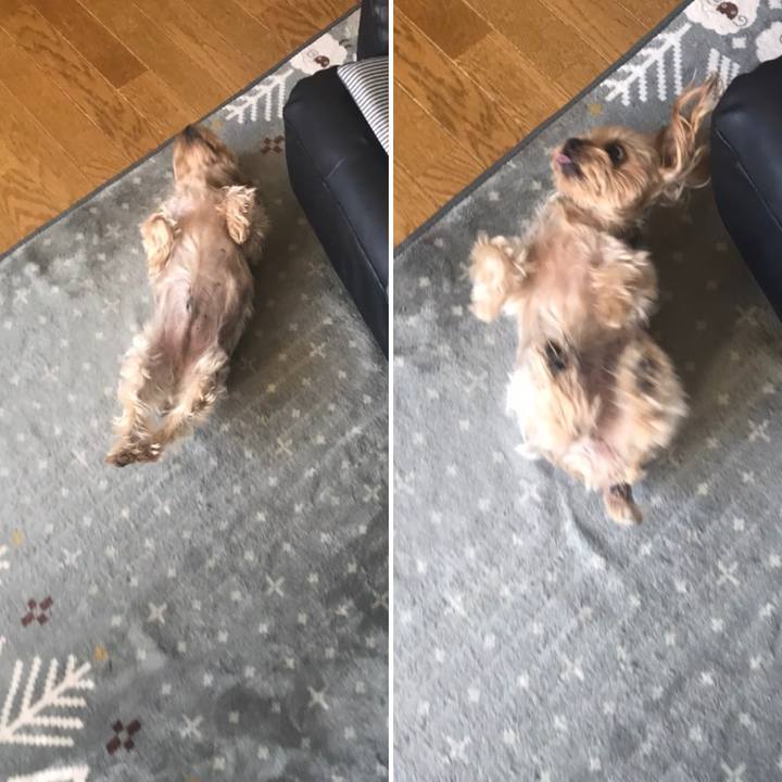 E6be93e0 2015 499b 828d ccb83ce71b7e 1590139727876