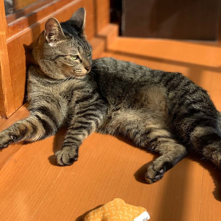 E6beb344 cc33 4504 b609 c72fd7da188f 1572566335530