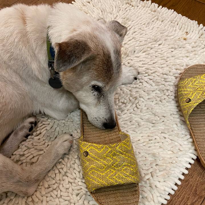 E6beb935 b110 46bf abae 636644c3176f 1720739742903