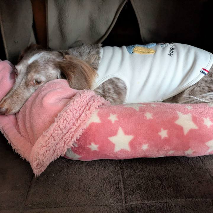 E6beec4e 8409 4cca afd8 90e4f0bb541b 1763681358503