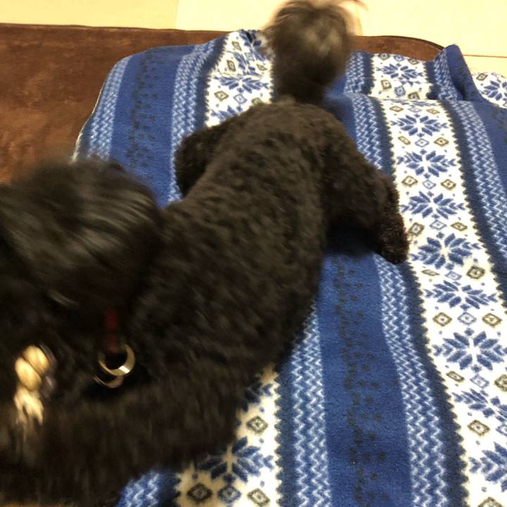 E6bef942 6815 4bcc a9b6 7fb70da60f79 1556108377787