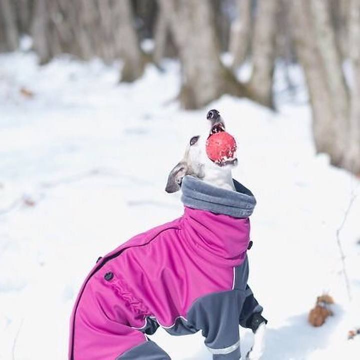 E6bf301c 50f1 4101 b49a 27f99137c90f 1519826716354