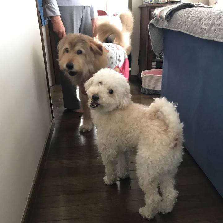 E6bf77ec 13c9 4889 bfed 160c13215970 1616817351531