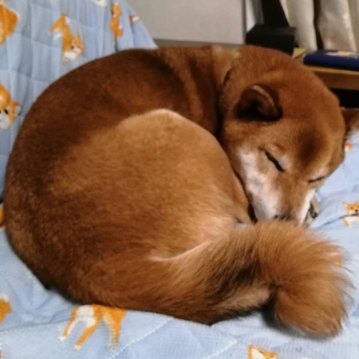 E6bf7c89 4a5b 4bd5 af96 e7a7edcbcd59 1617362100446