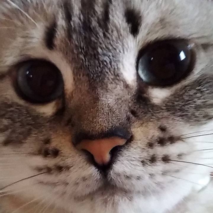 E6bfdef4 9485 46d3 be29 91a4c12d2be6 1667011237073