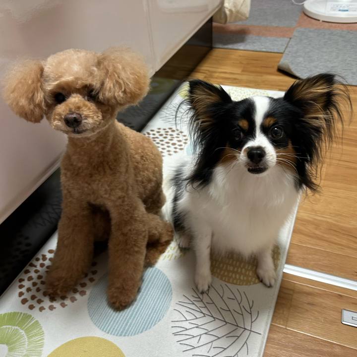 E6c0358d 214b 4480 9f17 3e073404edcb 1759908309806