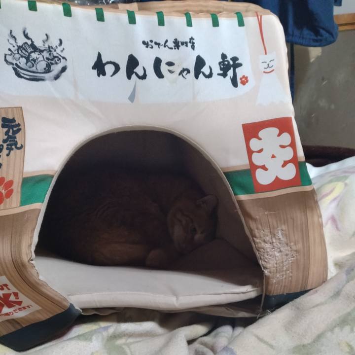 E6c038b4 68b5 4a2d 91d0 0beff12b70e2 1676553336019