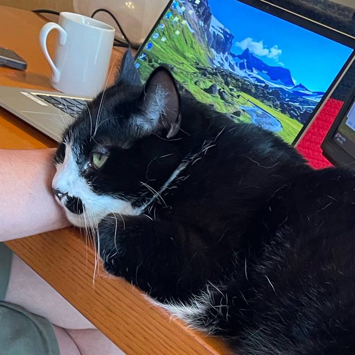 E6c052ca 0544 4c22 b226 d8abbe00c479 1751074928901