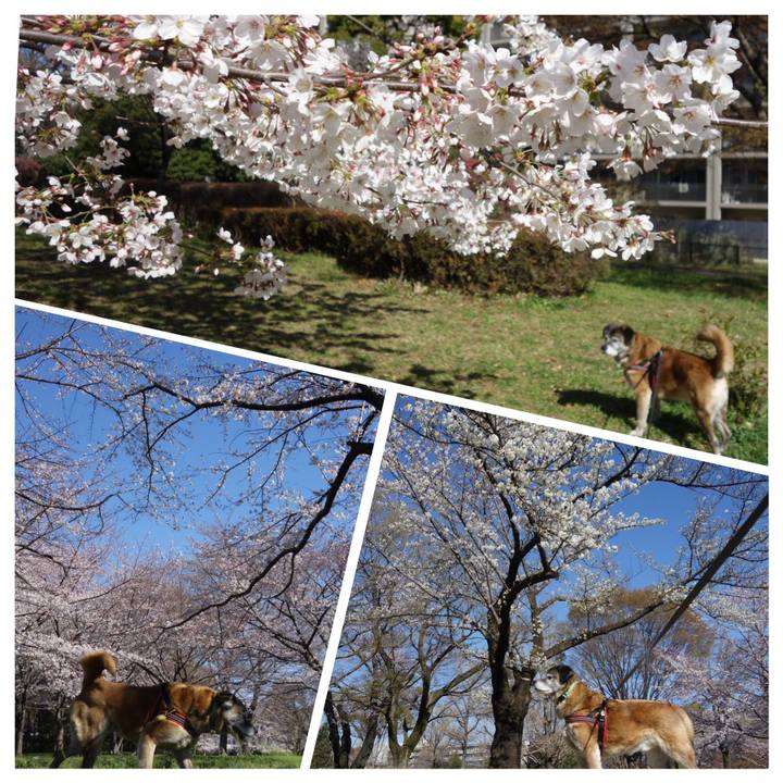 E6c06aa1 a706 454d ad03 92461748b2d9 1662595793181