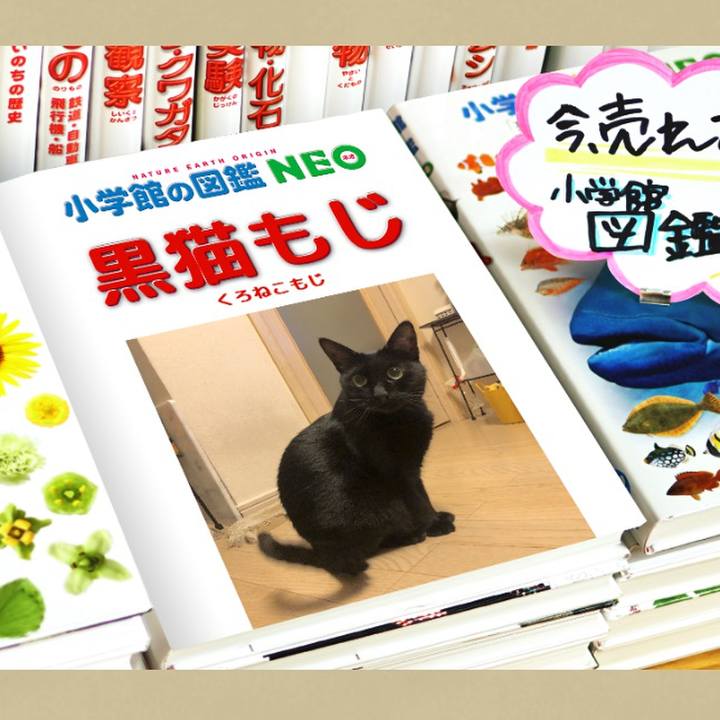 E6c0c2a6 bd26 4e3a aa78 0ad437eba488 1577957503631