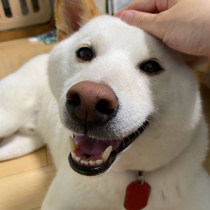 E6c0f5cf e1cc 4ae9 bc54 ba4411239e7b 1594801941092