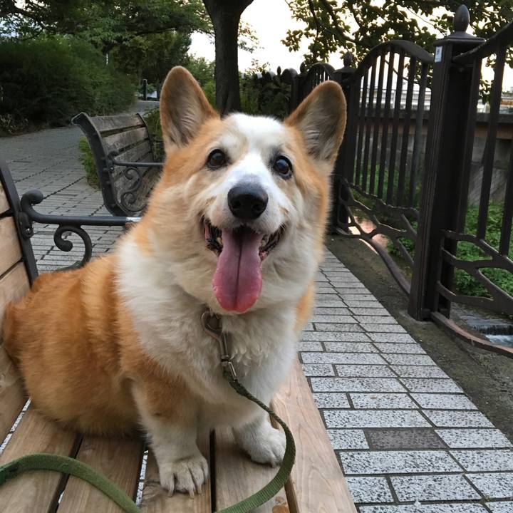 E6c0f9a1 ea7c 4c9c 9d37 df32829a6d9e 1532699674520