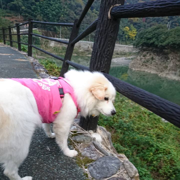 E6c12a59 d74e 463e a1ef 4abc8ba7122a 1541629694410