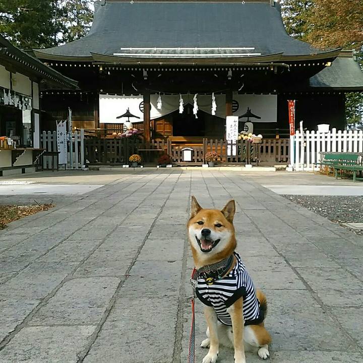 E6c12fff fe0d 4498 a21b 6a89c8099ff4 1574595718957