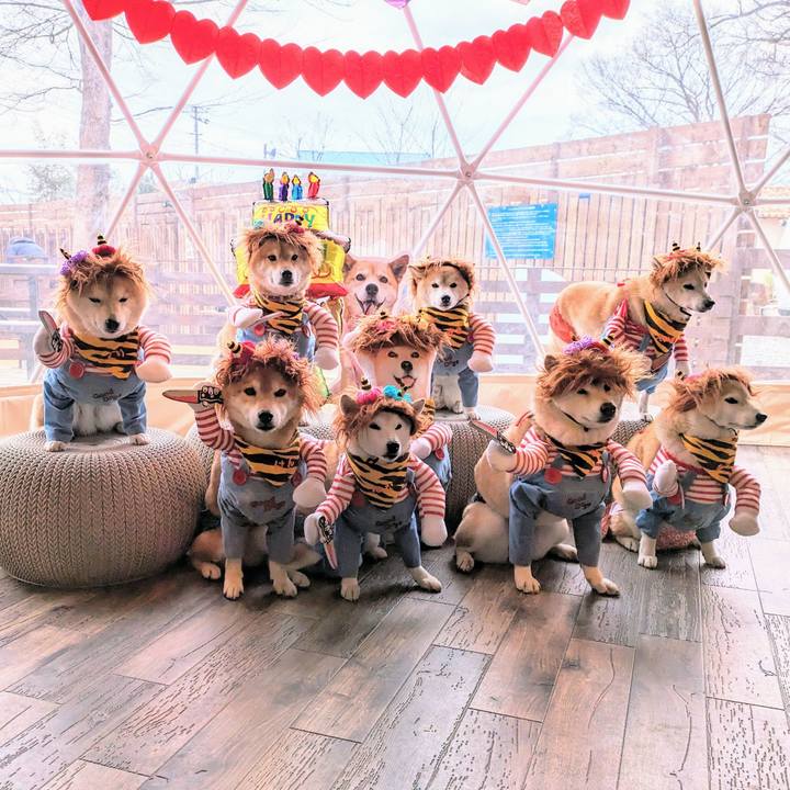 E6c133fa 4153 438d 8f25 04cad8d158d7 1706667450758