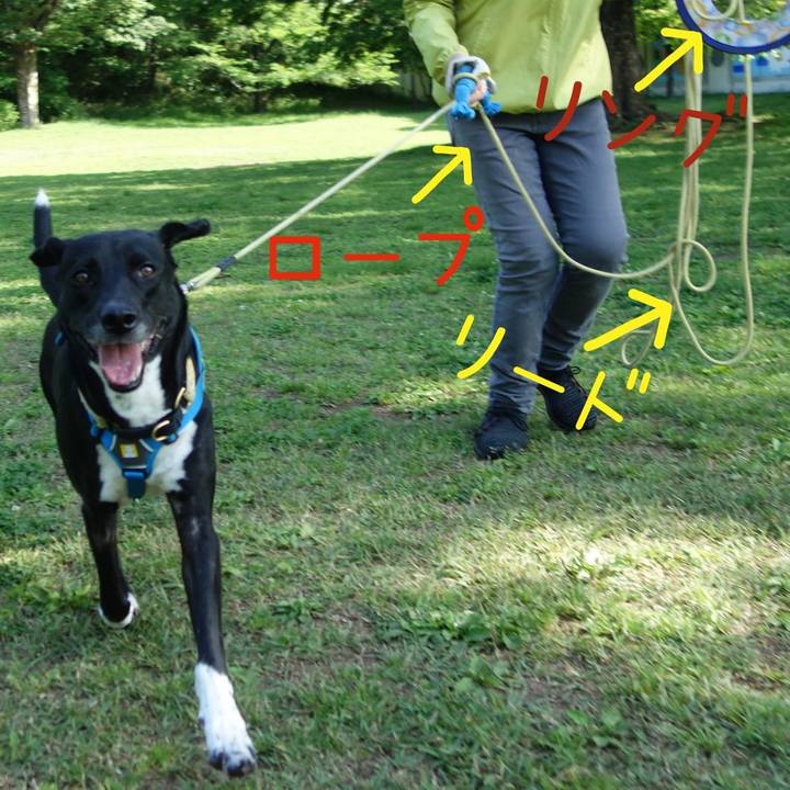 E6c15564 5a33 4e6a ab54 cdc5015cf748 1619227206661