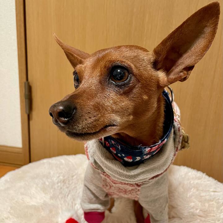 E6c16a9a 0cdc 4adb a32c a603bc40fbf0 1670153447906